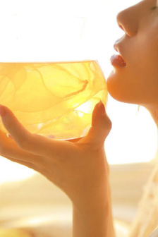 姜汁撞奶之初姜乃驯狗记内容